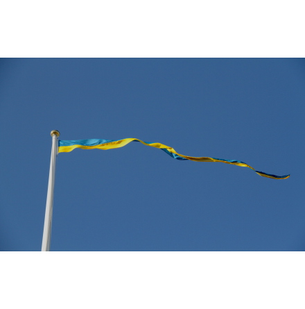 Swedish Pennant