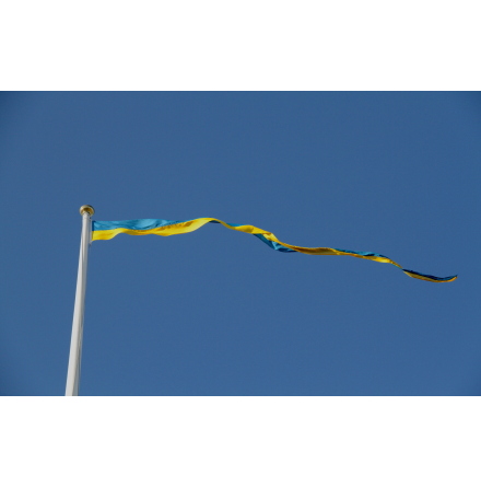 Swedish Pennant