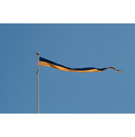 Swedish Pennant