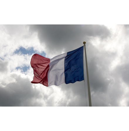 French Flag / Drapeau de la France